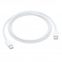 Переходник Apple USB-C Charge Cable (1m) (MM093ZM/A)