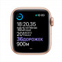Apple Watch Series 6, 40 мм, алюминий золотистого цвета, спортивный ремешок цвета «розовый песок»