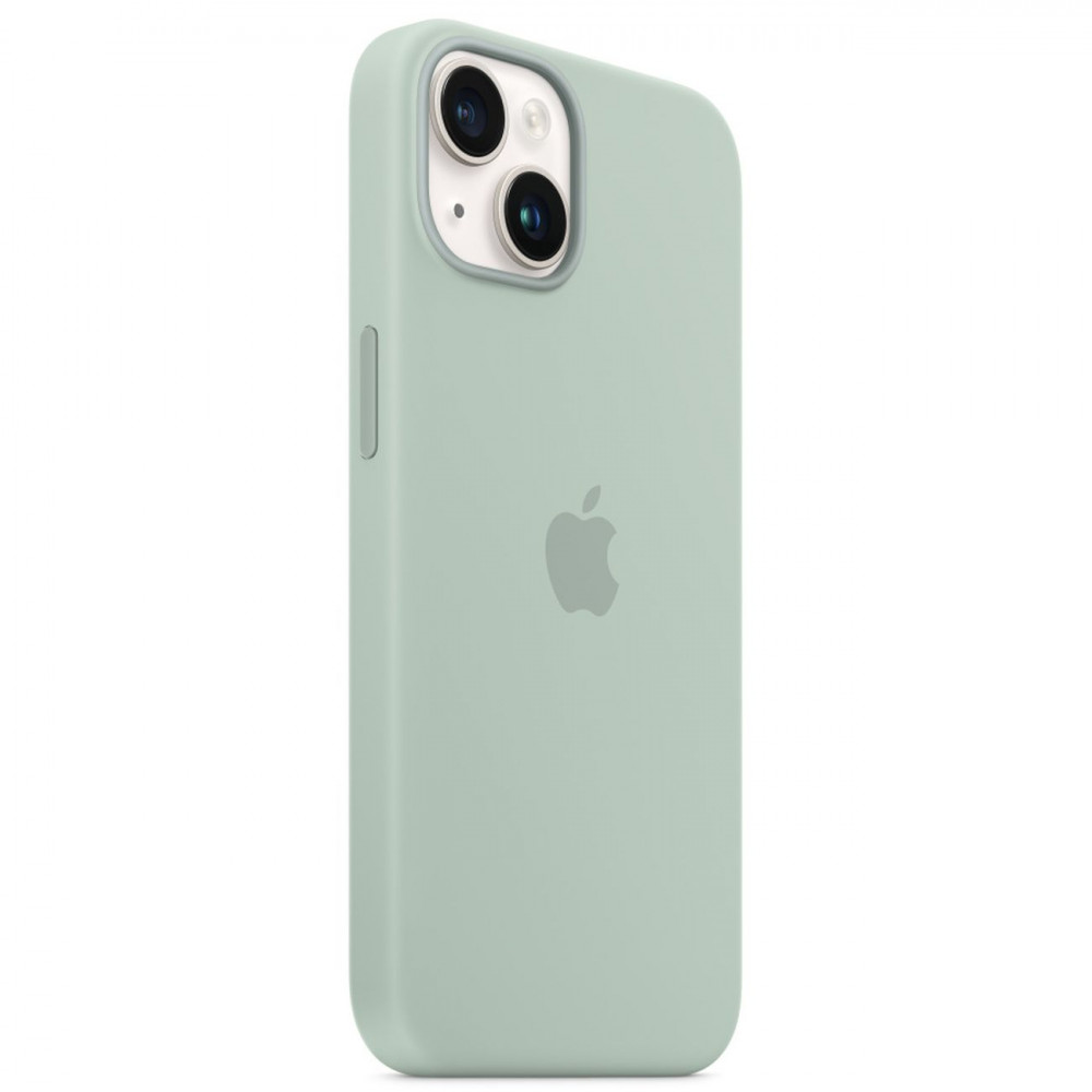 Купить Чехол Apple iPhone 14 Silicone MagSafe Light green, светло-зеленый  (Succulent) в Новосибирске по цене 1 300 р.