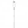 Переходник Apple USB-C Charge Cable (2m) (MLL82ZM/A)