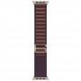 Apple Watch Ultra 2, 49 мм, титановый корпус, ремешок Alpine цвета индиго